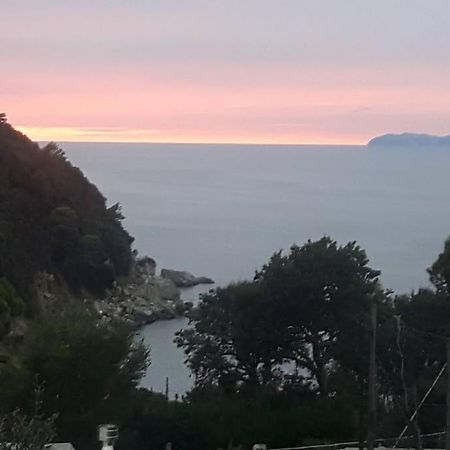卡普里Casa Del Mare别墅 外观 照片